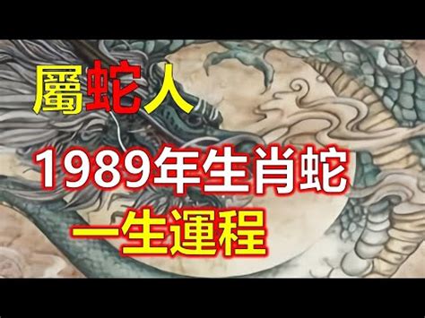 中華風水着 土蛇 1989